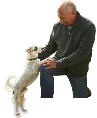 Man in park with his dog